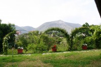 /album/i-fiori-di-casa-acquarella/a10-img-8490-r-jpg/